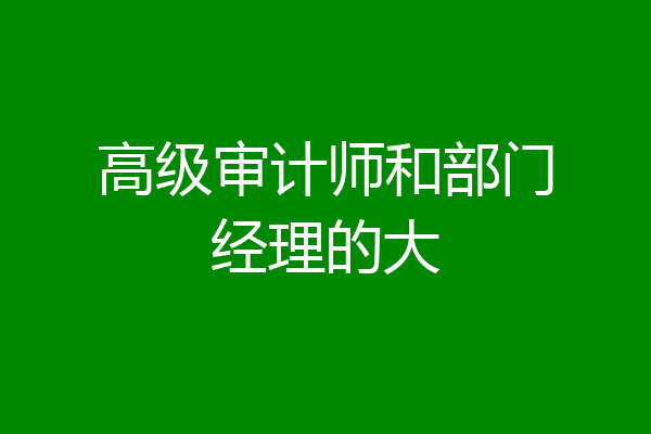 高级审计师和部门经理的大