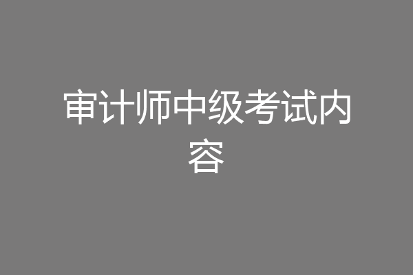 审计师中级考试内容