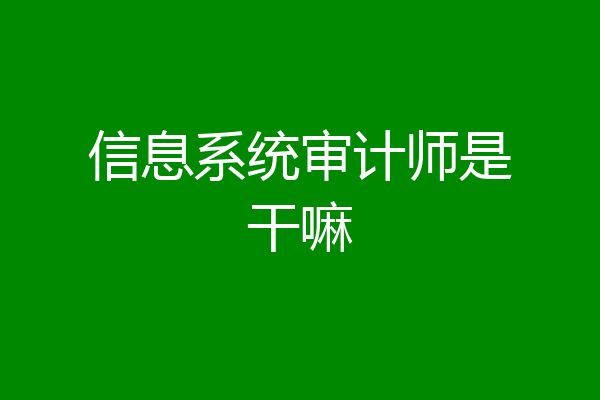 信息系统审计师是干嘛