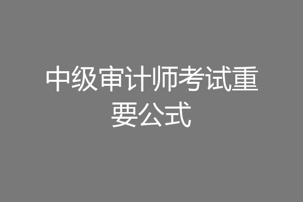 中级审计师考试重要公式