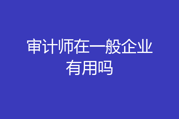 审计师在一般企业有用吗