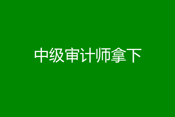 中级审计师拿下