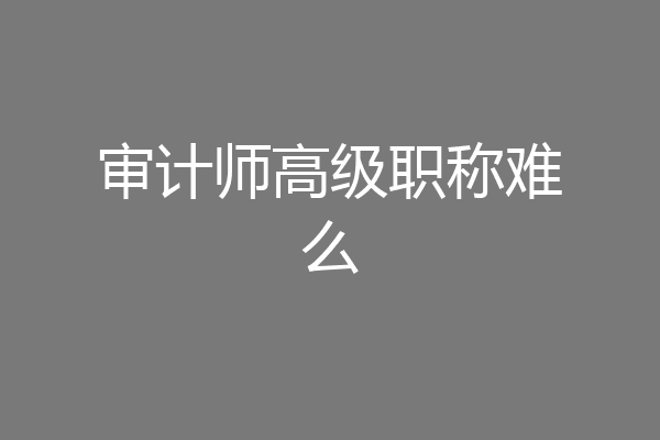 审计师高级职称难么