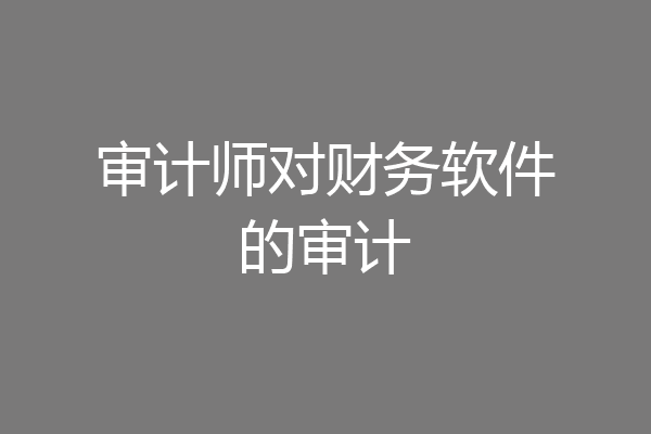 审计师对财务软件的审计
