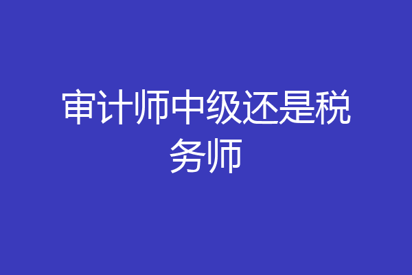 审计师中级还是税务师