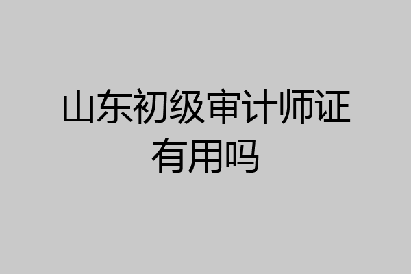 山东初级审计师证有用吗