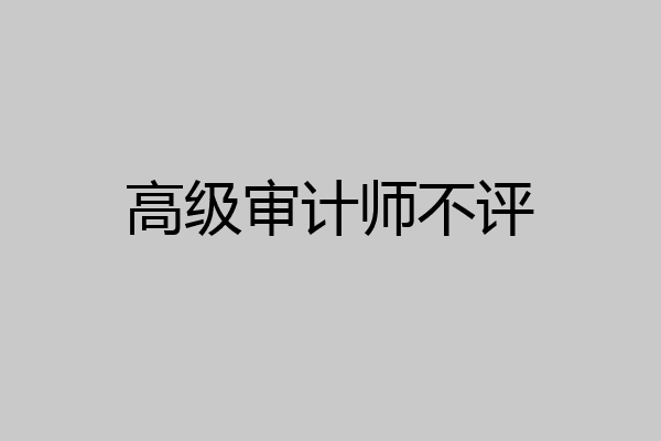 高级审计师不评