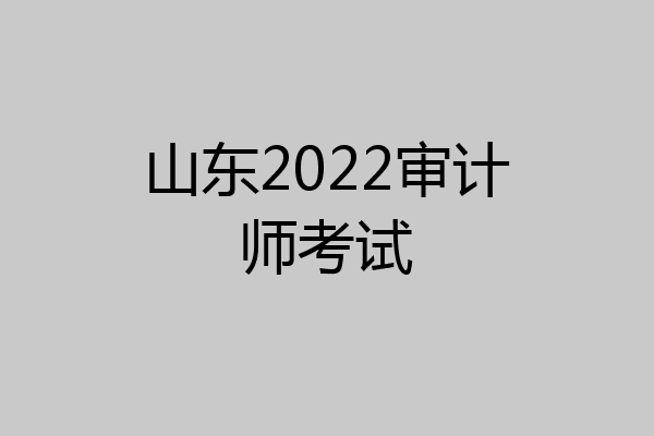山东2022审计师考试