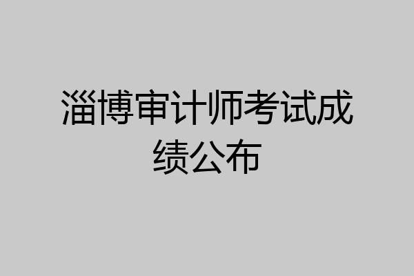 淄博审计师考试成绩公布