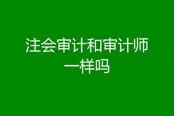 注会审计和审计师一样吗