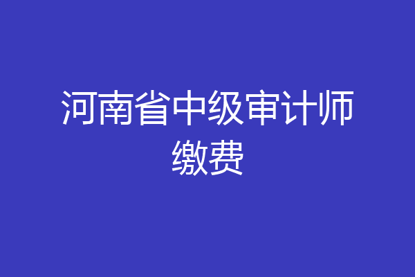 河南省中级审计师缴费