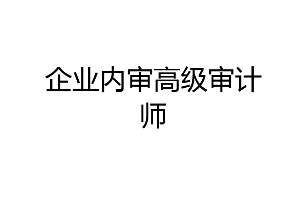 企业内审高级审计师
