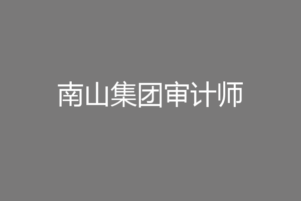南山集团审计师