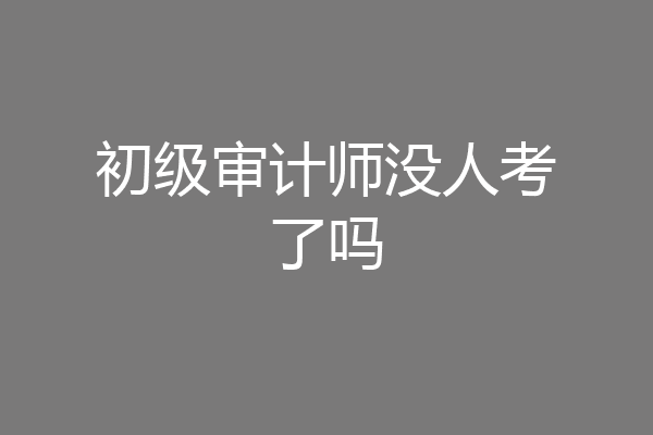 初级审计师没人考了吗