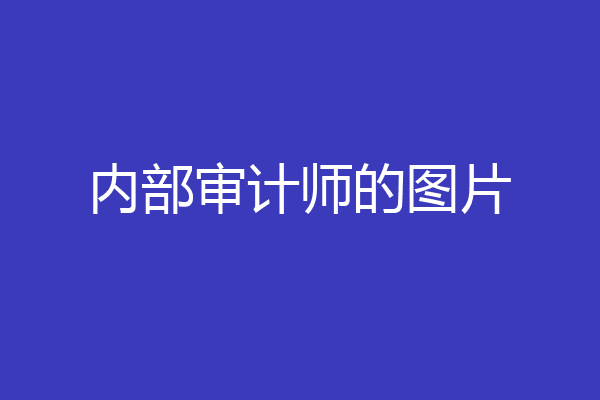 内部审计师的图片