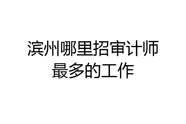 滨州哪里招审计师最多的工作