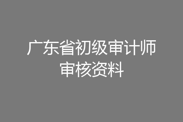 广东省初级审计师审核资料