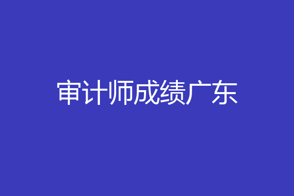 审计师成绩广东