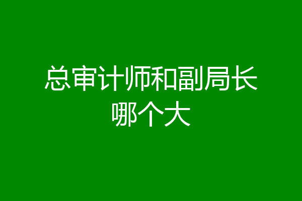 总审计师和副局长哪个大