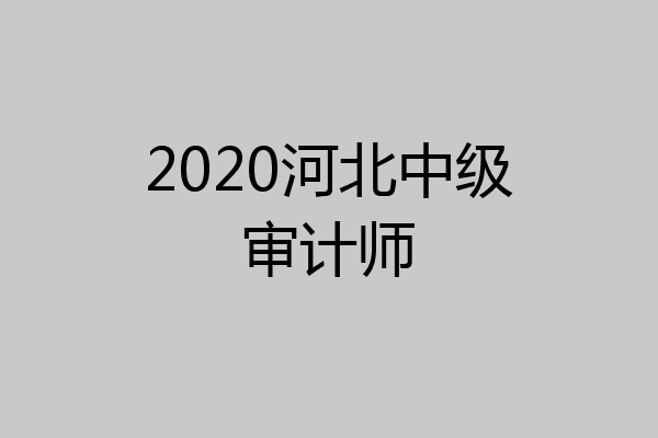 2020河北中级审计师