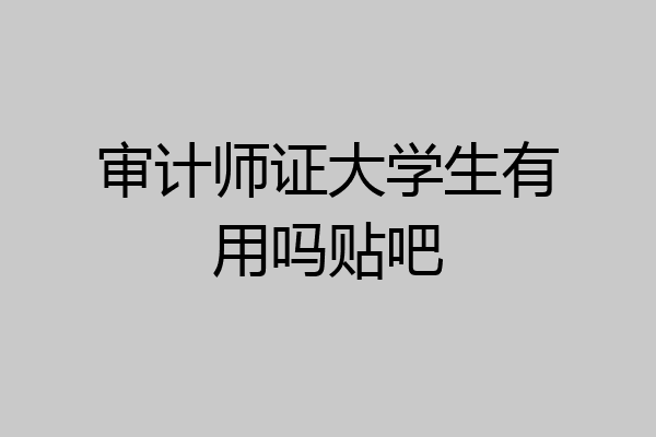 审计师证大学生有用吗贴吧