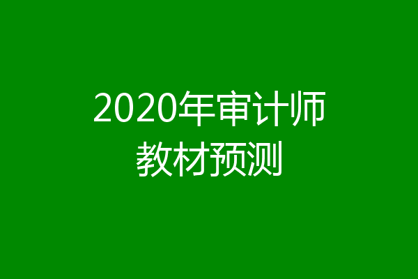2020年审计师教材预测
