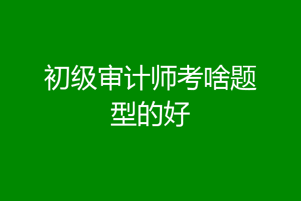 初级审计师考啥题型的好