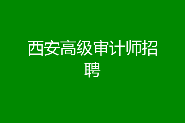 西安高级审计师招聘