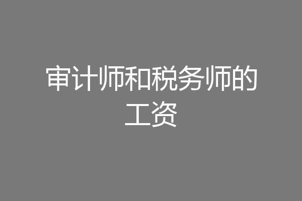 审计师和税务师的工资