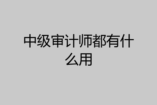 中级审计师都有什么用