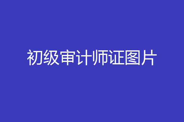 初级审计师证图片
