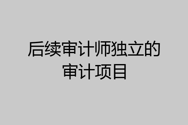 后续审计师独立的审计项目