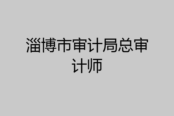 淄博市审计局总审计师
