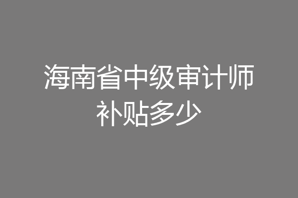 海南省中级审计师补贴多少
