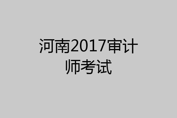河南2017审计师考试