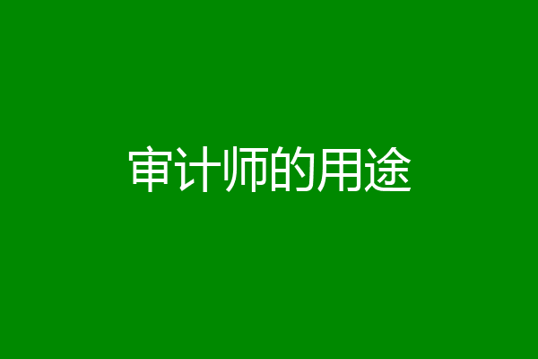 审计师的用途