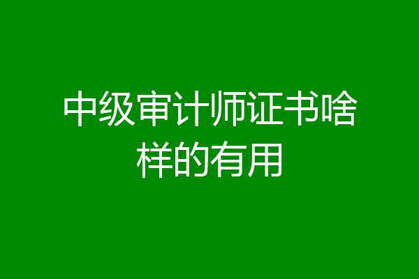 中级审计师证书啥样的有用