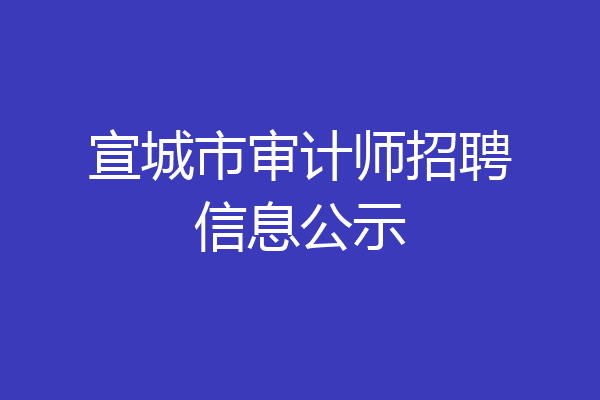 宣城市审计师招聘信息公示