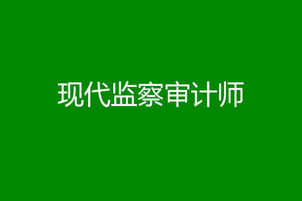 现代监察审计师