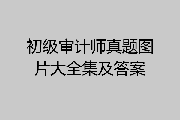 初级审计师真题图片大全集及答案