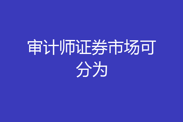 审计师证券市场可分为