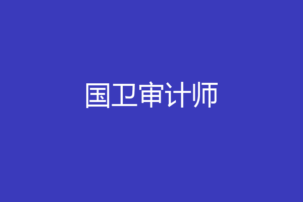 国卫审计师