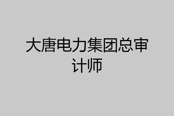 大唐电力集团总审计师