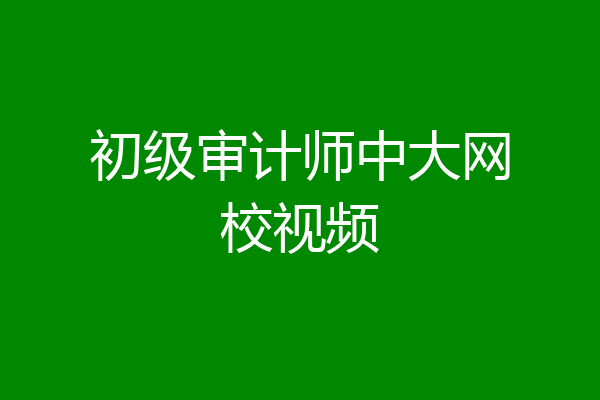 初级审计师中大网校视频