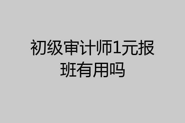 初级审计师1元报班有用吗
