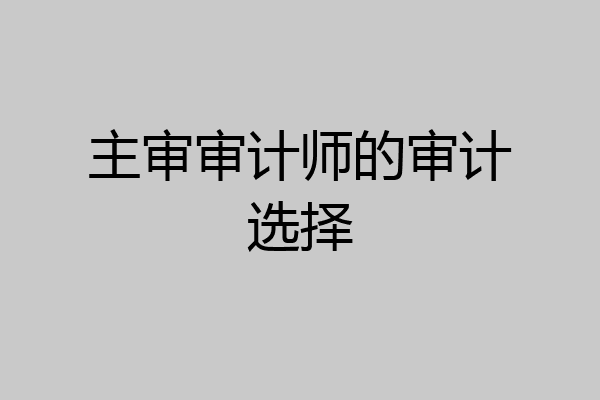主审审计师的审计选择