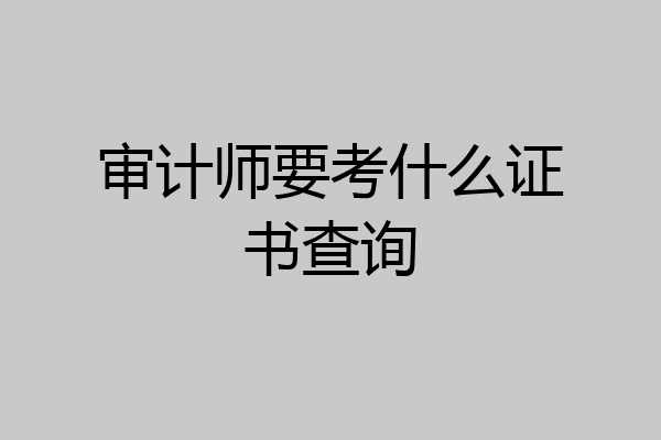 审计师要考什么证书查询