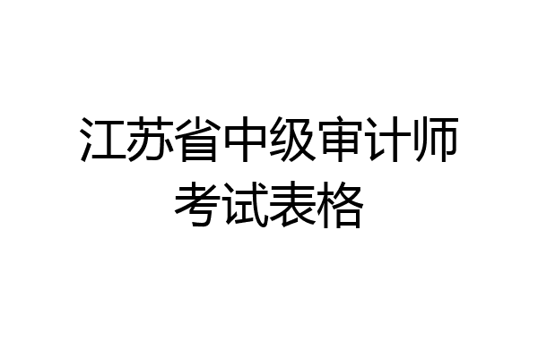 江苏省中级审计师考试表格