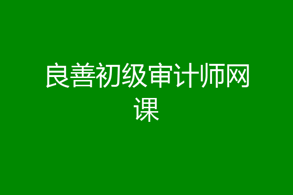 良善初级审计师网课