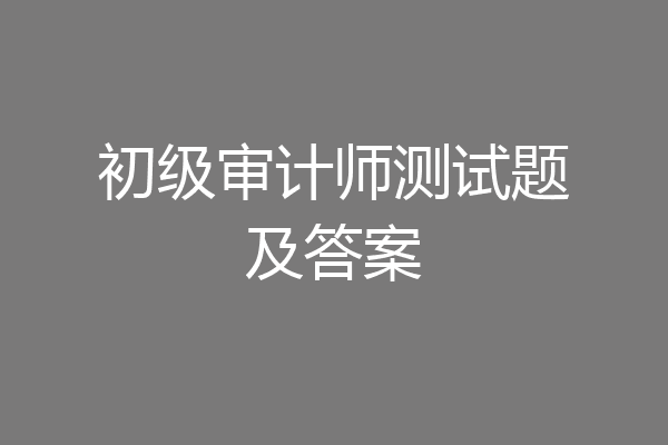 初级审计师测试题及答案